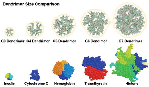 Figure 2. Several generations of spherical, dendritic polymers. Each generation increases the size, molecular weight and number of primary amine groups on the surface of the polymer.