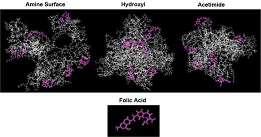 Figure 4. Modeling of folate-conjugated dendrimer nanostructure. Folate is exposed on the surface of the amine-surfaced polymer (left panel), but non-specific interactions between surface amines and cell dendrimers (middle panel) lacked non-specific interactions; however, the acetimide was predicted to have the folate in a surface position that was likely to interact with receptors on cells. This was proven to be correct in studies with intact cells expressing the receptor.