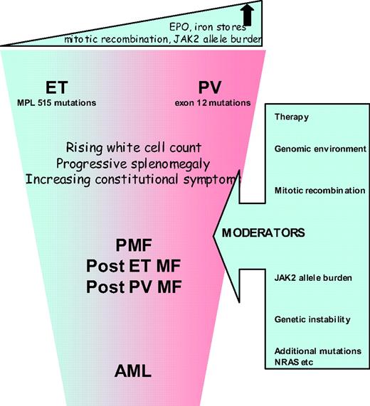 Figure 1. Continuum model for reclassification of MPNs