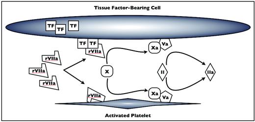 Figure 1. rFVIIa mechanisms of action. At pharmacologic levels, rFVIIa complexes with tissue factor (TF) from the subendothelium and on the surface of cells at the site of tissue damage. rFVIIa also binds to the surface of activated platelets. Factor X (FX) is activated by rFVIIa-TF and rFVIIa on the surface of platelets to FXa, which complexes with FVa to catalyze the conversion of prothrombin (FII) to thrombin (FIIa). Xa indicates FXa; Va, Fva; II, FII; Iia, FIIa. Adapted from Poon.6