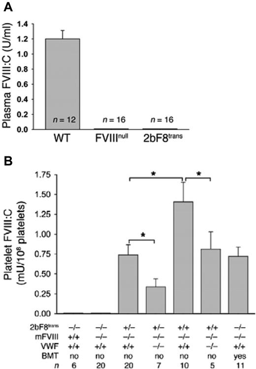 Figure 2. FVIII in plasma and platelets in 2bF8-transgenic mice. Transgenic mice were developed with the cDNA for B domain-deleted FVIII placed under the control of the integrin α-IIb promoter and bred onto the murine FVIIInull background. These transgenic mice (2bF8) only expressed FVIII in megakaryocytes and stored FVIII together with VWF in platelets. (A) Plasma FVIII was measured and was present in wild-type (WT), but was absent in plasma from either FVIIInull or 2bF8 transgenic (FVIIInull) mice. (B) Platelet FVIII was measured in murine platelets and was absent in wild-type and FVIIInull mice; but, in 2bF8 transgenic mice, platelet FVIII was present and was greater in homozygous transgenic mice (2bF8trans+/+) than in heterozygous (2bF8trans+/–) mice. To determine the effect of VWF on the expression of FVIII in platelets, the 2bF8 transgene was bred onto the double KO background (FVIIInull VWFnull). Platelet FVIII expression was reduced in the absence of VWF. Bone marrow transplantation (BMT) from a heterozygous 2bF8 mouse conferred similar expression levels when transplanted into FVIIInull mice following ablative bone marrow conditioning. In data not illustrated in this figure, platelet FVIII conferred survival following tail-clip challenge in contrast to the FVIIInull mice in which this challenge was uniformly fatal. *P < .001. (Used with permission, with full details provided in J Clin Invest. 2006;116:1974-1982.)