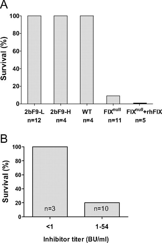 Figure 4. Platelet-induced expression of FIX (2bF9) is not as effective as 2bF8 in the inhibitor model. (A) Two transgenic lines of mice were developed that expressed FIX in megakaryocytes and stored FIX in platelet α-granules. The 2bF9 high line (2bF9-H) was equivalent to 20% of normal circulating FIX, and the 2bF9 low line (2bF9-L) corresponded to 1% of normal circulating FIX. Both 2bF9-L and 2bF9-H survived tail-clip challenge similar to wild-type mice. The FIXnull and FIXnull mice infused with 1.6 IU/dL plasma did not survive tail-clip challenge. (B) 2bF9-H mice were subjected to tail-clip challenge in the presence or absence of inhibitory antibody to FIX. Even the 2bF9-H mice had minimal survival when challenged with low or moderate inhibitory antibody. Because these mice have circulating levels at 20% of normal circulating FIX, there is not similar protection from 2bF9 similar to that seen in 2bF8 mice with 1.23% levels of FVIII. Compare results with those for hemophilia A in Figure 3B.