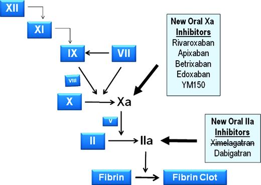 Figure 1. New oral anticoagulants under development that target factor IIa and factor Xa. Participating proteins are depicted by their zymogen symbols for simplicity. Factor X and its activation to Xa, and Factor II and its activation to IIa are more fully illustrated, because these two proteases are targets of the therapeutic agents in the shaded boxes. Bold arrows from the shaded boxes point to the proteases that those agents inhibit, and an agent with a line through it has been withdrawn from development.