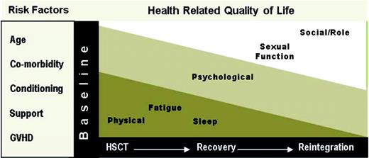 Figure 1. HRQL in allogeneic HSCT.