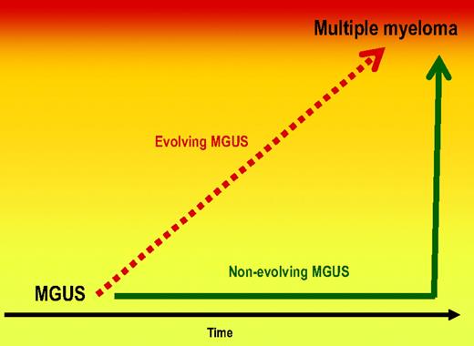 Figure 2. M-protein concentrations year-by-year over time prior to multiple myeloma. Two major patterns of MGUS prior to multiple myeloma: “evolving MGUS” and “non-evolving MGUS.” In about half the study population, the M-protein concentration and involved FLC-ratio levels showed a year-by-year increase prior to MM diagnosis, while the other half maintained largely stable abnormal serum protein levels up to the diagnosis of MM.45 Currently, we do not know if this represents a genetic switch in the tumor cells, a change in the host, or a combination; neither do we know if these different M-protein concentration patterns represent different biology when MM arises. One might speculate that there could be differences in response to therapy and survival. Future studies need to address these and other related questions. On a clinical note, one has to keep in mind that stable M-protein or FLC levels do not exclude the development of MM development. Until better molecular markers for progression to MM are available, clinicians have to use clinical measures in combination with routine blood tests (including renal function, hemoglobin, and serum calcium) and serum and urine M-protein markers in their monitoring of MGUS patients. (Adapted from Landgren et al., 2009.45)