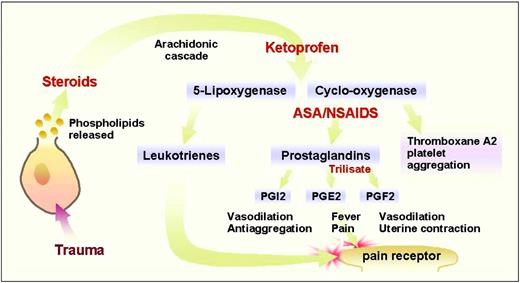 Figure 1. Inhibition of the arachidonic acid pathway by several drugs. Steroids inhibit the production of arachidonic acid, thereby blocking the synthesis of leukotrienes and prostaglandins. Ketoprophen is believed to block the production of 5-lipooxygenase and cyclooxygenase. Aspirin and nonsteroidal anti-inflammatory drugs block the conversion of cyclo-oxygenase to prostaglandins and thromboxane A2. Trilisate blocks theproduction of prostagandins (PG) E2 and F2, but not I2 or thromboxane A2. (©2001 D.J. Wilkie, used with permission.)