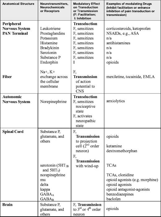 Neural mechanisms of pain: facilitating and inhibiting factors