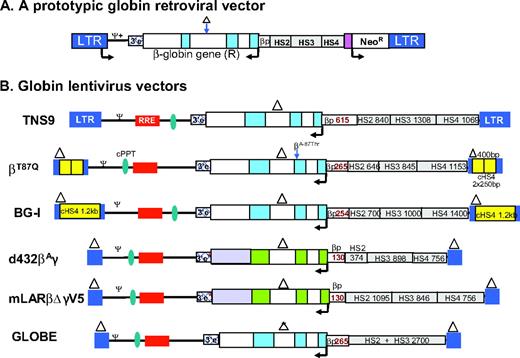 Figure 1. (A) Prototypic design of a γ-retroviral vector β/γ globin gene and the small LCR core elements. The β-globin gene (exons depicted in blue shaded boxes) is placed in the reverse orientation in the retroviral vector to prevent splicing of the introns in the viral genomic RNA during production of the virus. Arrow indicates the direction of transcription. In the γ-retroviral vector construct, HS2, HS3, and HS4 denotes LCR core derivatives.12 (B) Successful β/γ-globin LV vectors used by different groups. TNS9 vector is based on the publication by May et al.24 and encodes the human beta globin gene. The βA87Q vector encodes a mutated β-globin gene at the 87th codon, conferring it with anti-sickling properties,55 and also carries two copies of the 5′ 250-bp cHS4 insulator core. This vector was used for the gene therapy trial for β-thalassemia in France led by Dr. Philippe Leboulch. The BG-I vector, described by Putheenvetil et al.,32 expresses β-globin from a 254-bp β-globin promoter, contains large LCR elements, and is flanked by the 1.2-kb full-length cHS4 insulator in the LTRs. The vector d432β-Aγ vector28 also contains γ-globin 3′ regulatory untranslated regions (shaded purple) and enhancer elements downstream of the γ-globin coding sequences (3′e*). mLARβΔγV5 vector30 consists of extended regions of β-globin LCR. The GLOBE vector is described in the article by Miccio et al.29 Triangles represent deletion of the 372-bp purine-rich sequences in the β-globin IVS 2 (a 562-bp deletion of IVS2 in the GLOBE vector) and the 400-bp enhancer deletion in the LTR to generate a self-inactivating vector design. RRE, rev response element; HS2, HS3, and HS4, DNase hypersensitive sites 2, 3, and 4 present in the β-globin LCR and the length of respective hypersensitive sites are indicated adjacent to them; cPPT, central polypurine tract; LTR, long terminal repeat; 3′e, β-globin 3′ enhancer element; ψ, packaging signal; Ψ+, extended packaging signal; βP, β-globin gene promoter. The β or γ globin genes are depicted in the reverse orientation, with β-globin exons in blue, γ-globin exons in green, and β-globin introns shown as unshaded boxes