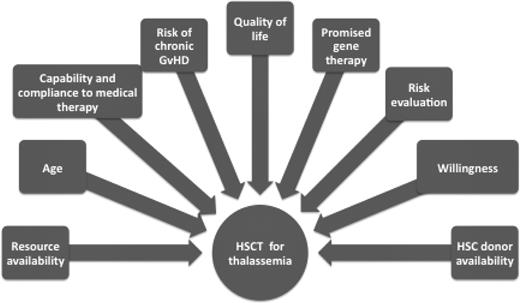 Figure 4. Factors that must be considered for individual decision making about HSCT for thalassemia.