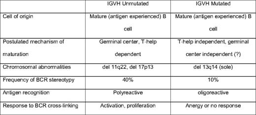 The mutation status of the immunoglobulin heavy chain (IGVH) as a central determinant of CLL biology