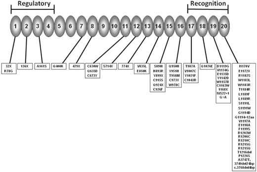 Figure 1. Factor H consists of 20 SCRs. The N-terminal SCRs form the regulatory domain and the C-terminal the recognition domain. The site of mutations reported in aHUS are shown. (Adapted from Kavanagh and Goodship4 and used with the kind permission of Springer Science and Business Media.)