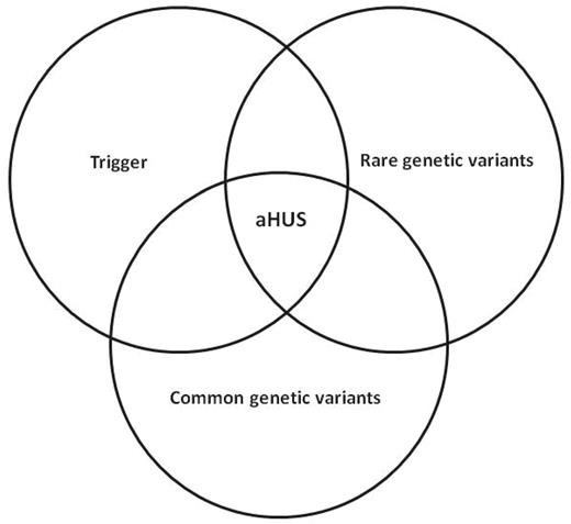 Figure 3. Manifestation of aHUS in an individual may need the presence of a trigger such as pregnancy, a rare genetic variant such as a mutation in a complement gene, and a common genetic variant such as an at-risk haplotype in a complement gene.