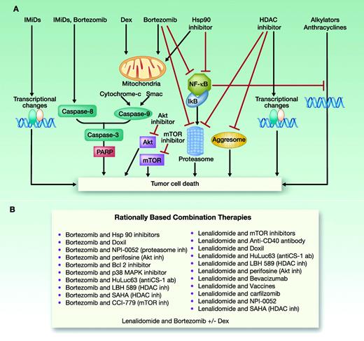 Figure 3. Rationally based combination treatment in MM. (Modified with permission from Lonial et al.68)