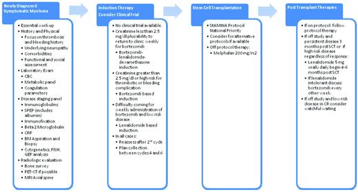 Figure 1. The author's recommended approach to the treatment of patients with symptomatic multiple myeloma who are eligible for SCT.
