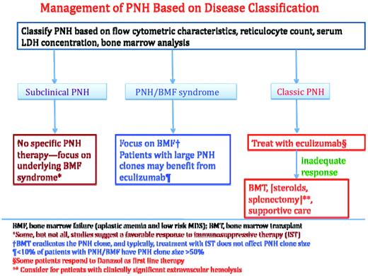 Figure 3. Treatment algorithm based on disease classification. Disease classification is based on the recommendations of the International PNH Interest Group.13