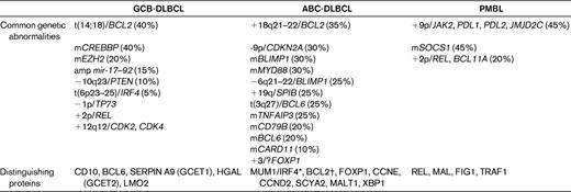 Key genetic and immunophenotypic features in DLBCL: GCB, ABC, and primary mediastinal DLBCL (PMBL)