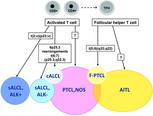 Figure 1. Recurrent chromosomal translocations in peripheral T-cell lymphomas.