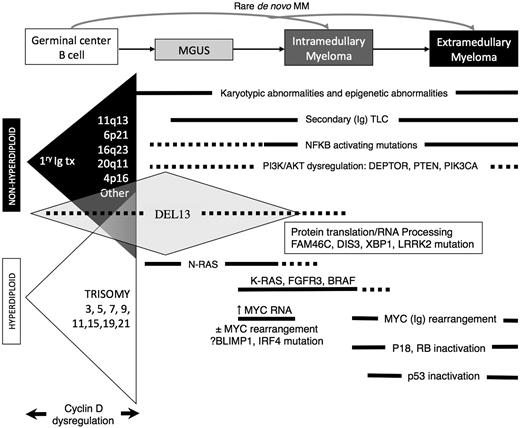 Figure 3. Model for the multistep molecular pathogenesis of MM. Two largely nonoverlapping pathways (Ig translocations vs multiple trisomies) are primary events associated with dysregulated cyclin D expression. The most common secondary genetic events associated with tumor progression are shown, including early and late dysregulation of MYC and late-inactivating mutations of p53.