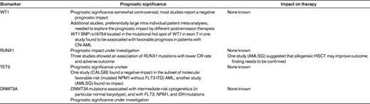 Prognostic value and impact on treatment decision of selected molecular markers in adult AML