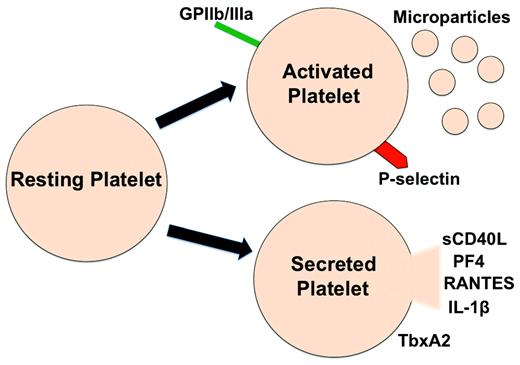 Figure 1. Platelets become activated during storage, resulting in the expression of activated membrane receptors, microparticle production, and secretion of inflammatory mediators.
