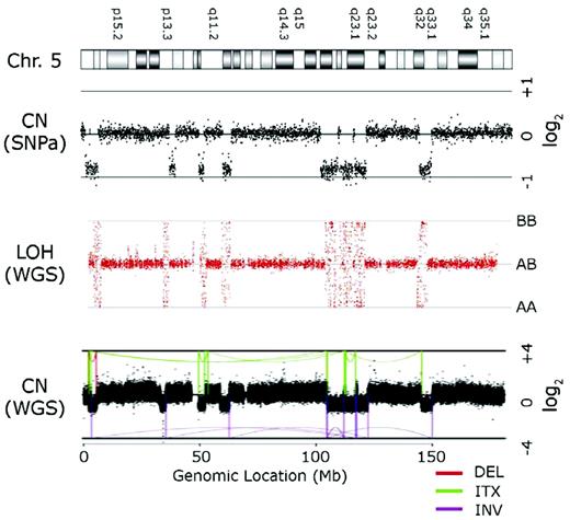 Figure 1. Chromothripsis of chromosome 5 in MDS. Multiple regions of DNA copy number (CN) loss are detectable by SNP arrays comparing a tumor sample (MDS-derived sAML) with the patient's normal DNA (obtained from a skin biopsy) (top panel). Whole-genome sequence data of the tumor/normal pair demonstrates loss of heterozygosity (LOH) at the regions of copy number loss (middle panel). Multiple inversions (INV) and intrachromosomal translocations (ITX) involving retained segments flanking the deletions (DEL) are computationally predicted to be rearranged from the whole-genome sequence data (bottom panel; T.G. and M.J.W., unpublished data).