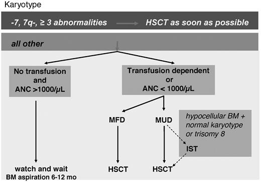 Figure 3. Current approach to therapy of RCC in the studies bythe EWOG-MDS.
