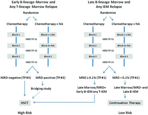 Figure 3. Proposed site-, timing-, and response-based risk allocation at relapse. Shown is the proposed classification schema for the upcoming COG comprehensive therapeutic trial for children, adolescents, and young adults with relapsed ALL (J. Whitlock, P. Brown, written communication, May 7, 2012). NA indicates novel agent; TP, time point; and IEM, isolated extramedullary.