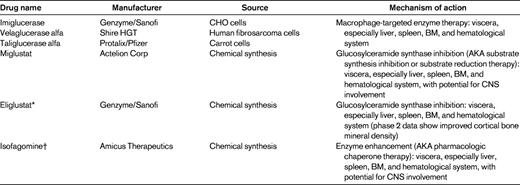 Available and potential therapies for Gaucher disease type 1