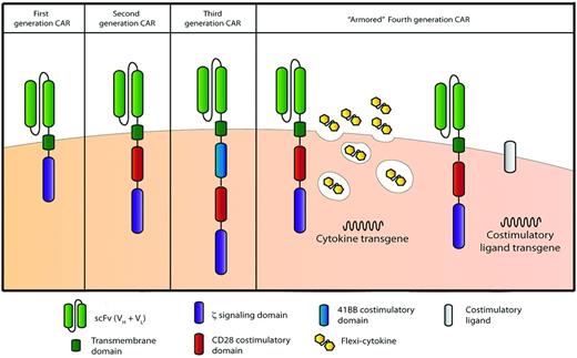Figure 1. CAR technology evolution through the generation of more potent CARs. First-generation CARs classically contain only one signaling domain, typically the cytoplasmic signaling domain of the CD3 TCRζ chain. Second-generation CARs containing 2 signaling domains typically include the addition of the cytoplasmic signaling domains of the costimulatory receptors CD28, 4-1BB, or OX-40, among others. Third-generation CARs attempt to harness the signaling potential of 2 costimulatory domains: classically, the CD28 domain followed by either the 4-1BB or OX-40 signaling domains. CAR-modified T-cell potency may be further enhanced through the introduction of additional genes, including those encoding proproliferative cytokines (ie, IL-12) or costimulatory ligands (ie, 4-1BBL), thus producing “armored” fourth-generation CAR-modified T cells.