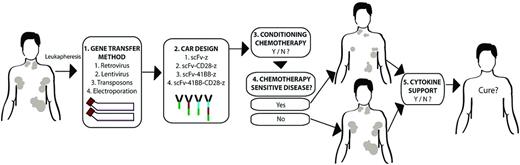 Figure 2. Variables in clinical trial design. Multiple, potentially clinically relevant variables exist between various published clinical trial outcomes treating patients with CD19-targeted, CAR-modified T cells. There are variables in the methodology of CAR gene transfer (1), the design of the CAR (2), the inclusion or exclusion of prior conditioning chemotherapy (3), whether conditioning chemotherapy may reduce tumor burden (4), and whether additional cytokine support with IL-2 is provided exogenously after modified T-cell infusion (5). Whether one or more of these variables are indeed relevant to ultimate clinical outcomes awaits additional multicenter trials resolving these variables by direct comparison to establish the optimal conditions in which these CAR-modified T cells may induce an optimal clinical response.