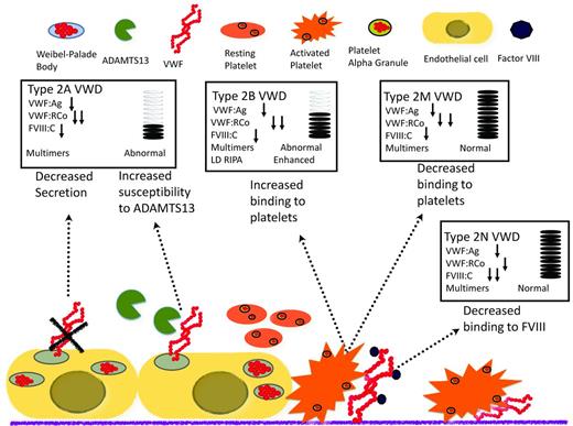 Figure 3. Mechanism of disease for qualitative variants (type 2 VWD) and the effect on diagnostic laboratories.