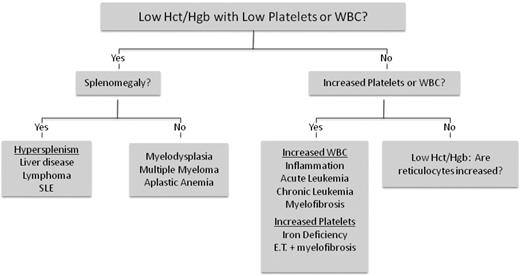 Figure 2. Algorithm for evaluation of chronic anemia based on the CBC. Bottom right: “Low Hct/Hgb: Are reticulocytes increased?” is the same as top box in Figure 3. ET indicates essential thrombocythemia; and SLE, systemic lupus erythematosus.