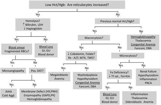 Figure 3. Algorithm for evaluation of chronic anemia based on the CBC (continued). Top box: “Low Hct/Hgb: Are reticulocytes increased?” is the same as the bottom right box in Figure 2. AIHA indicates autoimmune hemolytic anemia; AZT, azidothymidine; Cold Aggl., cold agglutinin disease; DAT pos., direct antiglobulin test (direct Coombs test) positive; DBA, Diamond-Blackfan anemia; GI, gastrointestinal; GU, genitourinary RBC, red blood cell; HS, hereditary spherocytosis; LDH, lactate dehydrogenase; MTX, methotrexate; PNH, paroxysmal nocturnal hemoglobinuria; PK, pyruvate kinase; PRCA, pure red cell aplasia; Tf sat.; transferrin saturation; and TMS, trimethoprim-sulfamethoxazole.