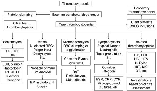 Figure 1. Algorithm for workup of thrombocytopenia based on observation of the peripheral blood film. TTP/HUS indicates thrombotic thrombocytopenic purpura/hemolytic uremic syndrome.