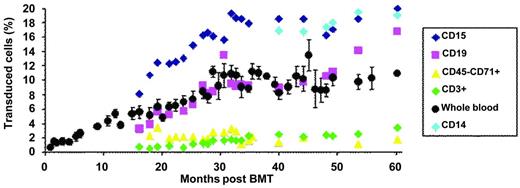 Figure 2. Proportion of transduced cells in peripheral blood. The percentage is deduced from the vector copy number measured in purified cell population, assuming that most cells did not contain more than 1 copy of the vector per cell.