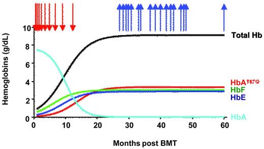 Figure 3. Concentration of hemoglobins in blood. Arrows indicate RBC transfusion (red) and phlebotomies (blue).