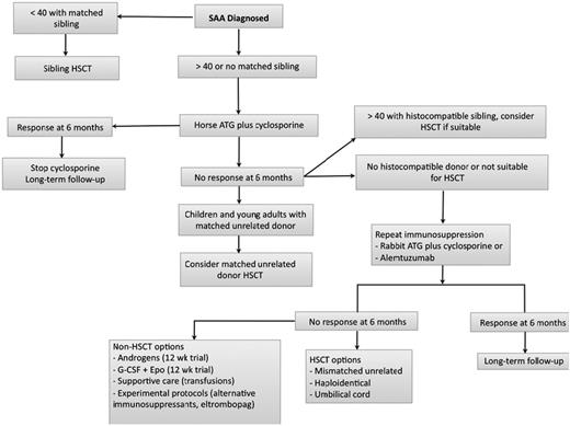 Figure 1. Algorithm for initial management of SAA. In patients who are not candidates for a matched related HSCT, immunosuppression with horse ATG + CsA should be the initial therapy. We assess for response at 3 and 6 months, but usually wait 6 months before deciding on further interventions in nonresponders. In patients who are doing poorly clinically, with persistent neutrophil count < 200/μL, we proceed to salvage therapies earlier, between 3 and 6 months. Transplantation options are reassessed at 6 months and donor availability, age, comorbidities, and neutrophil count become important considerations. We favor a matched UD HSCT in younger patients with a histocompatible donor and repeat IST for all other patients. In patients with a persistently low neutrophil count in the very severe range, we may consider a matched UD HSCT in older patients. In patients who remain refractory after 2 cycles of IST, further management is then individualized by taking into consideration suitability for a higher-risk HSCT (ie, mismatched UD, haploidentical or UC donor), age, comorbidities, neutrophil count, and overall clinical status. Some authorities in SAA consider 50 years of age as the cutoff for sibling HSCT as frontline therapy. Adapted with permission from Scheinberg and Young.1