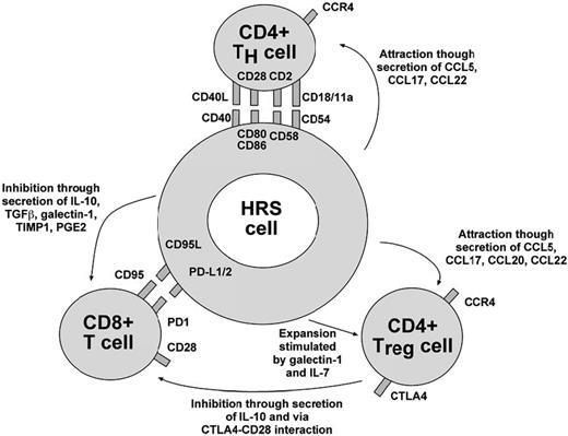 Figure 1. Interactions between HRS cells and tumor-infiltrating T cells in the microenvironment of classical HL. Shown are surface molecules and secreted factors through which HRS cells and HL-infiltrating T cells interact. Further details are given in the text.
