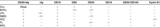Common marker expression patterns in small B-cell lymphoproliferative disorders involving the blood