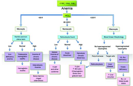 Figure 1. MCV-based algorithmic approach to anemia diagnosis (does size matter?).
