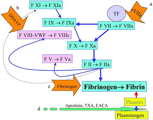 Figure 1. Reduction of blood loss. Blood loss reduction can be achieved by the enhancement of fibrin formation with rFVIIa to increase the formation of FIXa and FXa(a), with desmopressin to stimulate the release of FVIII and VWD(b), or by providing more fibrinogen(c). Another strategy is to decrease the degradation of fibrin by inhibiting the conversion of plasminogen to plasmin with aprotinin, TXA, or EACA(d).