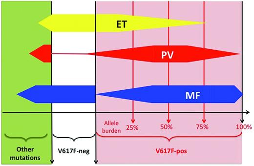 Figure 2. Overlaps in molecular lesions. Schematic representation of the distribution of molecular lesions across diseases. For example, in ET (yellow shape), 50% of patients have a JAK2-V617F mutation (red area, right part of the panel), whereas 50% are V617F-negative (white area) or display a mutation different from JAK2-V617F (green area, left part of the panel). Among JAK2-positive ET patients, the majority have a low allele burden (median around 20%), but a few may have a higher allele burden. In PV (red shape), the majority of patients are positive for the JAK2-V617F mutation, with a higher median allele burden (approximately 50%). In PMF, approximately 60% of patients are JAK2-V617F positive, with a high allele burden (often above 50%). Other mutations include: MPL, JAK2-exon 12, TET2, ASXL1, LNK, CBL, EZH2, SOCSs, IDHs, p53, NRAS, NF1, IKZF1, RUNX1, and RB. V617F-neg indicates the absence of the JAK2-V617F mutation; V617F-pos, the presence of the JAK2-V617F mutation.