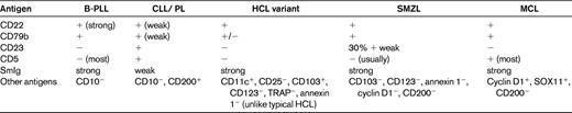 Differential diagnosis of mature B-cell leukemias (CD19+ and CD20+) by immunophenotype
