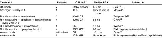 Ab-based treatment in B-PLL