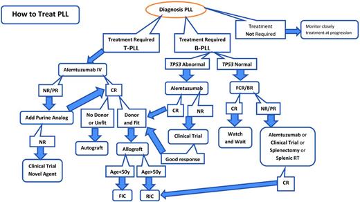 Figure 1. Treatment algorithm for PLL. BR indicates bendamustine + rituximab; NR, no response; RT, radiotherapy; FIC, full-intensity conditioning; RIC, reduced-intensity conditioning.