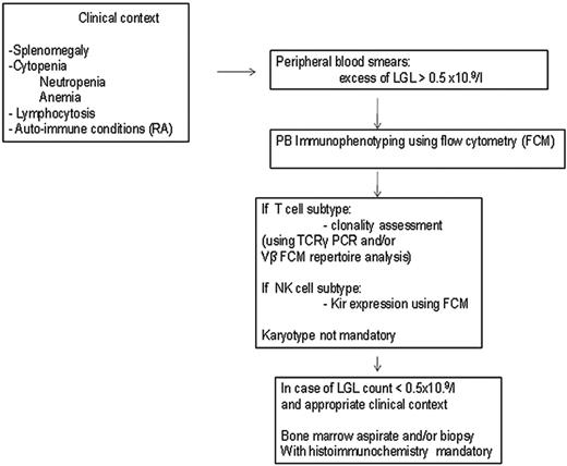 Figure 1. How to establish the diagnosis of LGL leukemia. The diagnosis is based on a LGL peripheral expansion (> 0.5 × 109/L). Specific criteria for T-LGL leukemia include expression of LGL surface markers compatible with an activated T-cell (commonly CD3+/CD8+/CD57+ and/or CD16+) phenotype and clonal rearrangement of the TCR-γ gene using PCR or specific and clonal Vβ expression using flow cytometry. Specific criteria for NK-LGL leukemia and NK-LGL lymphocytosis include expression of LGL surface markers compatible with an NK-cell (commonly CD3−/CD8+/CD16+ and/or CD16+/CD56+) phenotype. The term chronic NK-LGL lymphocytosis is used for patients with relatively few symptoms and chronic illness, whereas patients with massive tissue LGL infiltration of the spleen, liver, and BM and presenting aggressive clinical behavior are considered to have NK-LGL leukemia. Reproduced with permission from Lamy and Loughran.6