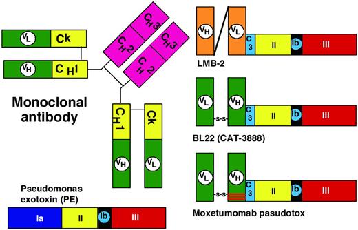 Figure 2. Domains of PE. The domains of PE include the binding domain (1a); amino acids 1-252; and domains II, Ib, and III, as noted in Figure 1. C3 is a connector (ASGGPE) between VH and the toxin. To allow recombinant immunotoxins to bind selectively to target cells, the VH and VL domains of the mAb are connected to a truncated form of the toxin devoid of its binding domain.