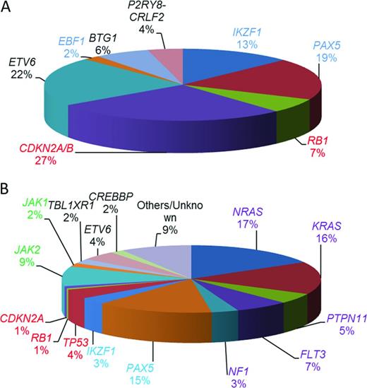 Figure 3. Estimated relative incidences of key copy number changes and mutations in childhood BCP-ALL (not mutually exclusive). (A) Relative incidences of 1363 deletions of genes commonly deleted in BCP-ALL calculated from multiplex ligation–dependent probe amplification analysis of 1427 BCP-ALL patients entered into UK childhood ALL treatment trials.22 (B) Estimated distribution of mutations in the common pathways among high-risk childhood BCP-ALL patients.17 Shown are the coding regions and untranslated regions of 125 genes sequenced in 187 high-risk childhood BCP-ALL in the Children's Oncology Group trial COG P9906. Those genes involved in B-cell development and differentiation are color coded in blue and those involved in cell cycle regulation are color coded in red. Mutations affecting the RAS signaling pathway are purple and those affecting the JAKs are green. The transcriptional regulators and others are color coded in black.