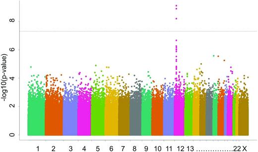 Figure 3. Manhattan plot illustrating results of a GWAS with MTX clearance as the phenotype. The y-axis plots the inverse of the log of the association P value for each typed SNP (> 500 000 SNPs interrogated per patient) as it relates to MTX clearance; the x-axis sorts SNPs based on chromosomal position. The peak of P values corresponds to SNPs that localize to SLCO1B1, indicating that variation in this gene identified genetic variation associated with interpatient variability in MTX clearance among 1279 children with ALL.18