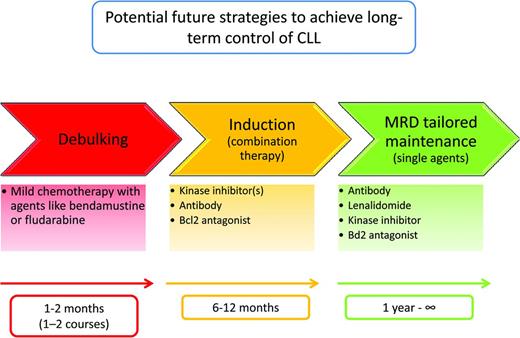 Figure 3. Future treatment concept with novel agents. For this treatment approach, I propose the term “sequential triple-T” (tailored, targeted, total eradication of MRD) to illustrate that this future approach should be a sequence of tailored measures (according to the risk of the leukemia, the tumor burden, and the fitness of the patients), should use targeted agents (ie, using the novel nonchemotherapeutic agents with a mechanism of action targeting pathogenic signaling events of CLL cells and their microenvironment), and aim at the total eradication of the leukemic clone (as assessed by MRD negativity as a clinical end point). Please note that the drugs or classes of drugs in this figure are shown as examples. Similar agents of the same class or additional classes of drugs (see Table 1) may be used as well.